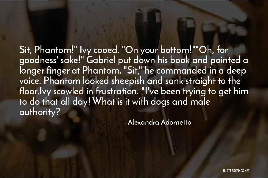 Dog Jokes About Their Humans Quotes By Alexandra Adornetto Dog Jokes About Their Humans Quotes By Alexandra Adornetto