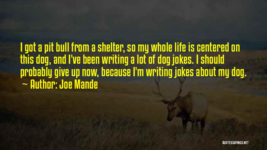Dog Jokes Quotes By Joe Mande