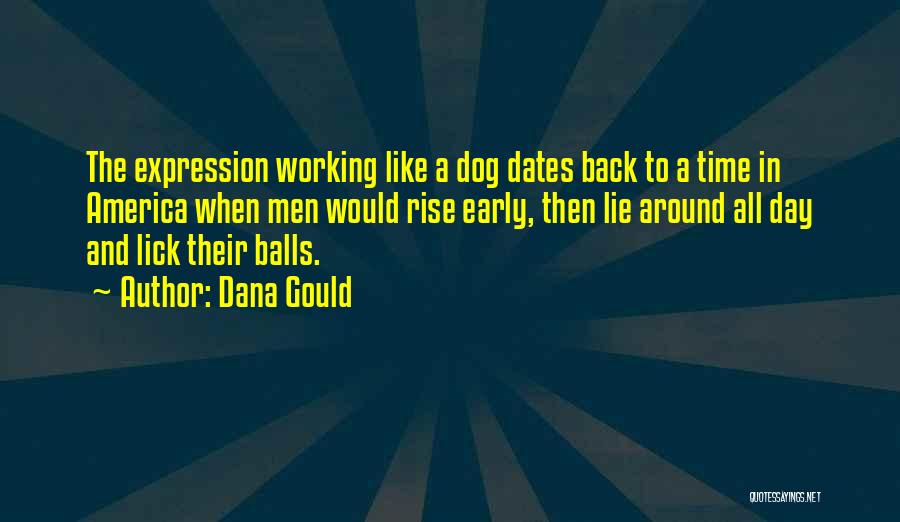 Dog Lick Quotes By Dana Gould