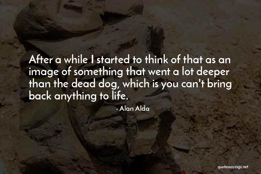 Dog Life Quotes By Alan Alda