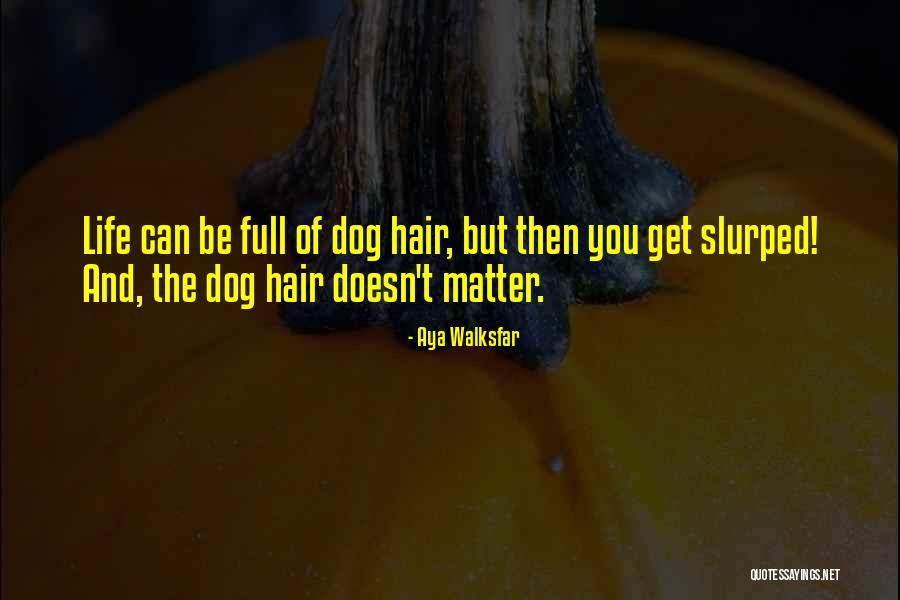 Dog Life Quotes By Aya Walksfar