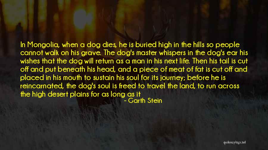 Dog Life Quotes By Garth Stein