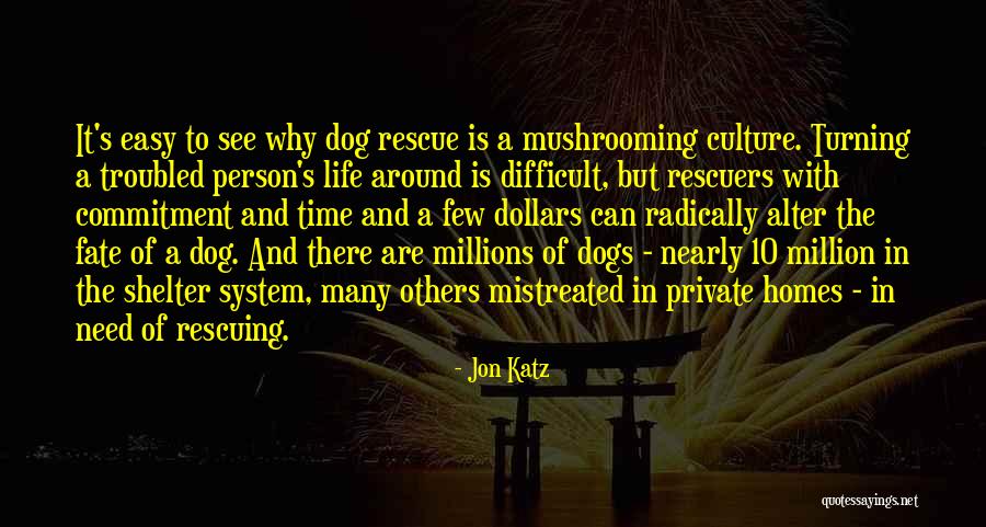 Dog Life Quotes By Jon Katz