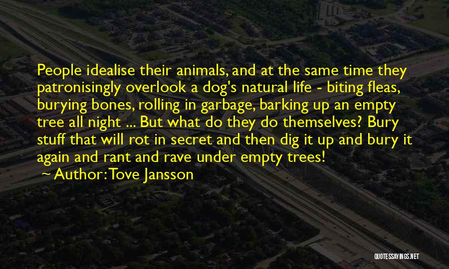 Dog Life Quotes By Tove Jansson