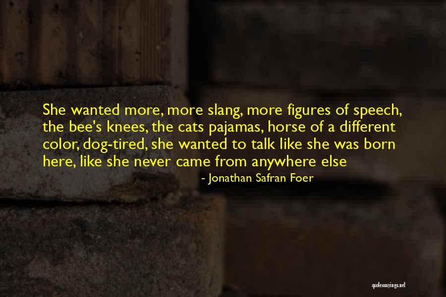 Dog Like Cats Quotes By Jonathan Safran Foer Dog Like Cats Quotes By Jonathan Safran Foer