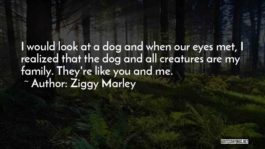 Dog Like Family Quotes By Ziggy Marley