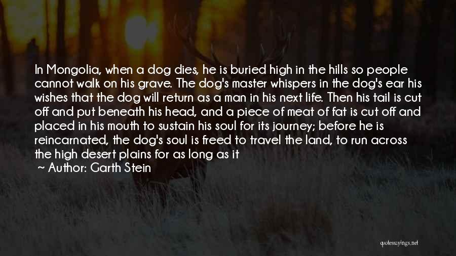 Dog Long Life Quotes By Garth Stein