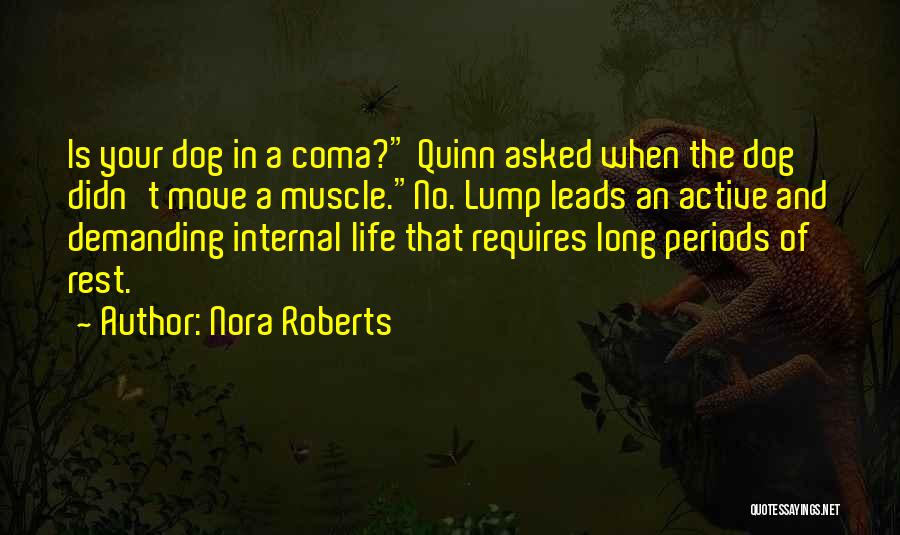 Dog Long Life Quotes By Nora Roberts