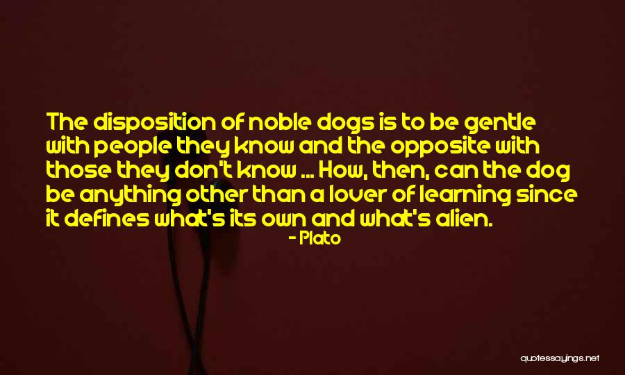 Dog Lover Dog Quotes By Plato Dog Lover Dog Quotes By Plato