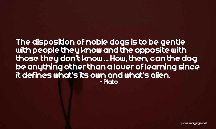 Dog Lover Quotes By Plato