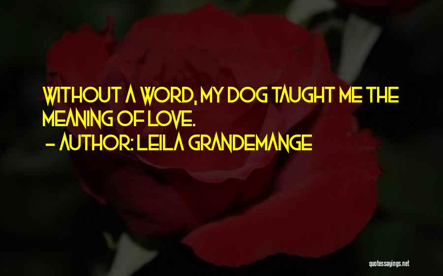 Dog Lovers Quotes By Leila Grandemange