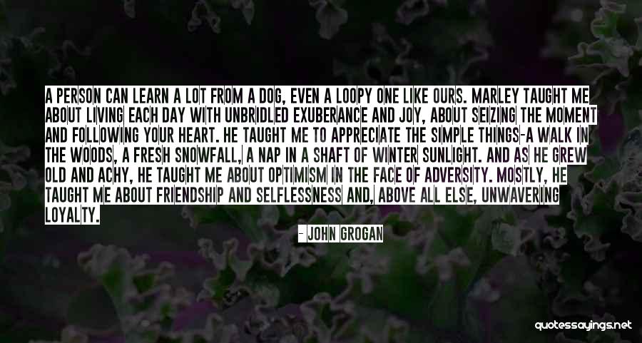 Dog Loyalty Quotes By John Grogan