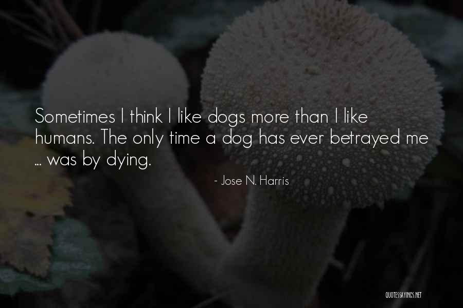 Dog Loyalty Quotes By Jose N. Harris