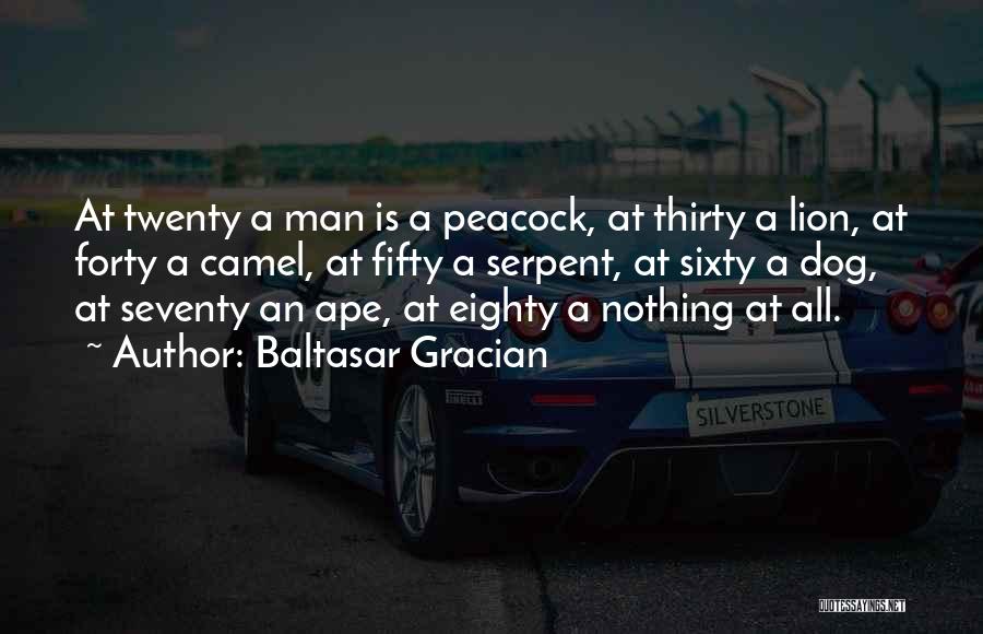 Dog Man Quotes By Baltasar Gracian