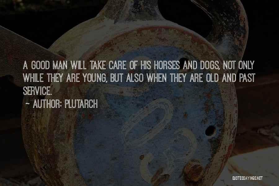 Dog Man Quotes By Plutarch