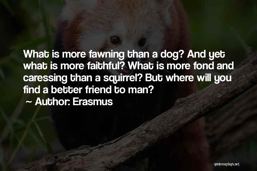 Dog Man's Best Friend Quotes By Erasmus