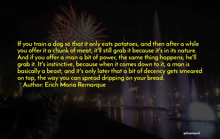 Dog Meat Quotes By Erich Maria Remarque