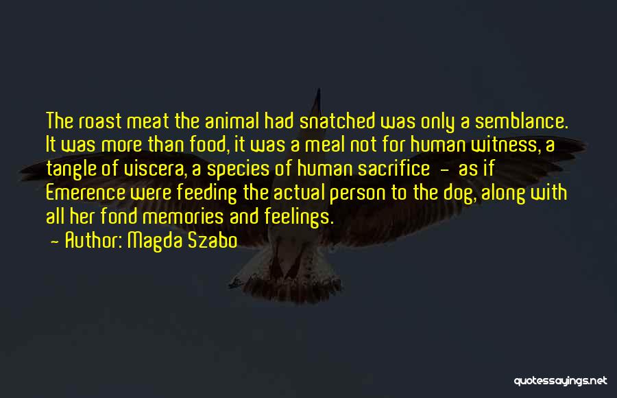 Dog Meat Quotes By Magda Szabo