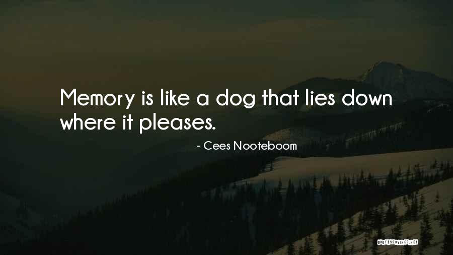 Dog Memory Quotes By Cees Nooteboom Dog Memory Quotes By Cees Nooteboom