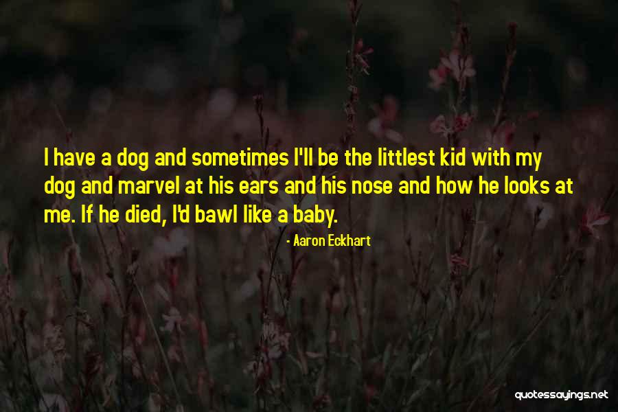 Dog Nose Quotes By Aaron Eckhart Dog Nose Quotes By Aaron Eckhart