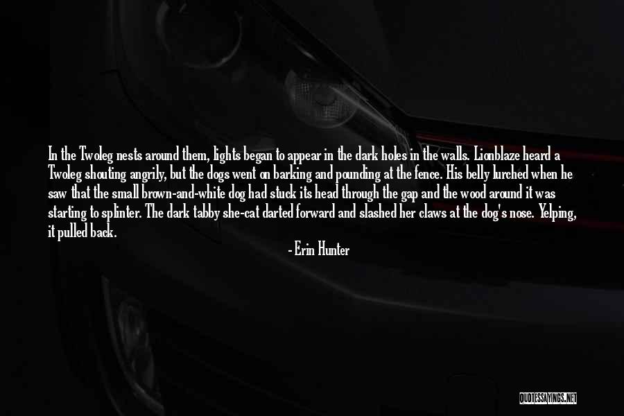 Dog Nose Quotes By Erin Hunter Dog Nose Quotes By Erin Hunter