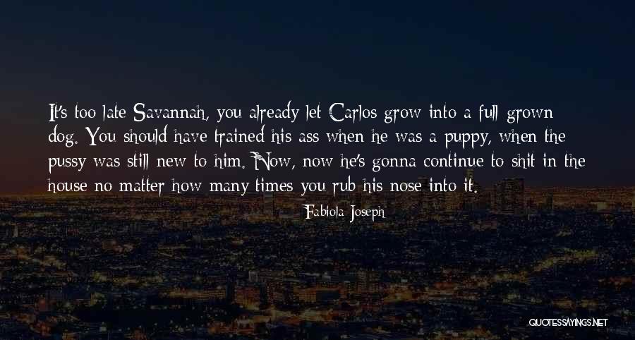 Dog Nose Quotes By Fabiola Joseph Dog Nose Quotes By Fabiola Joseph