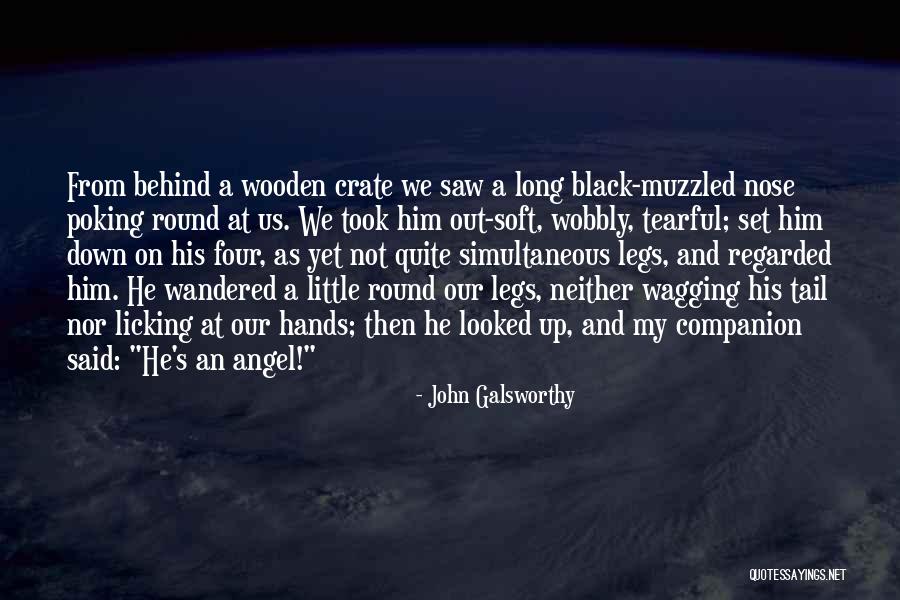 Dog Nose Quotes By John Galsworthy Dog Nose Quotes By John Galsworthy