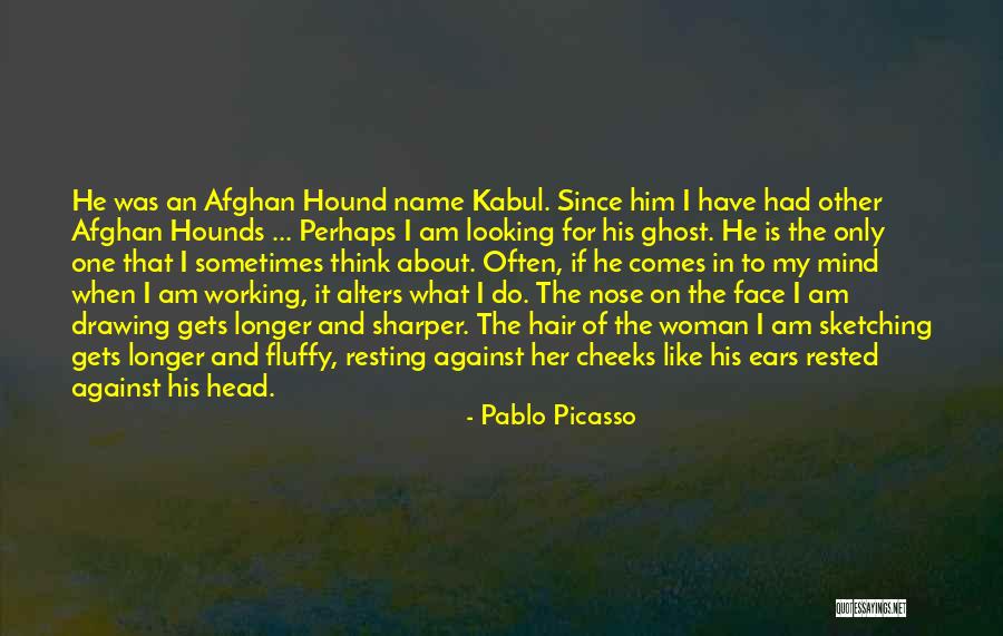 Dog Nose Quotes By Pablo Picasso Dog Nose Quotes By Pablo Picasso