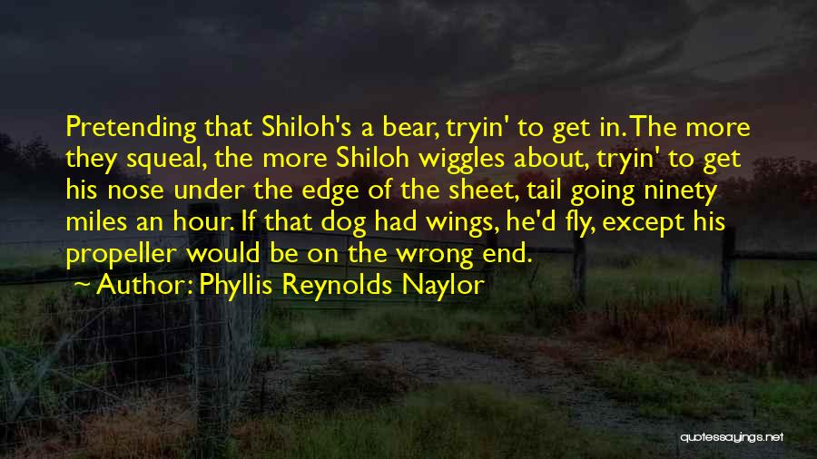 Dog Nose Quotes By Phyllis Reynolds Naylor