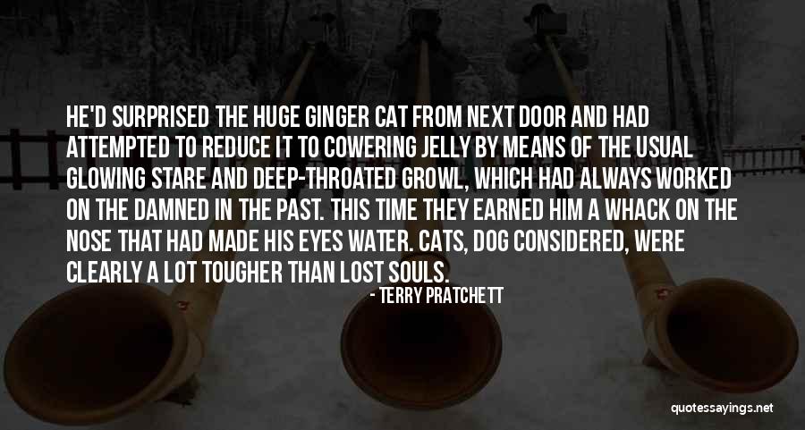Dog Nose Quotes By Terry Pratchett Dog Nose Quotes By Terry Pratchett