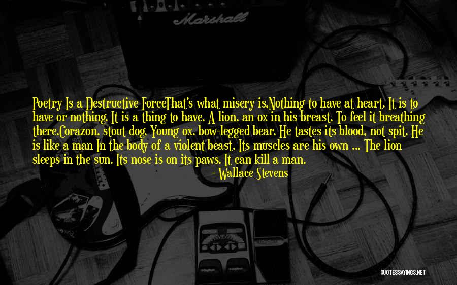 Dog Nose Quotes By Wallace Stevens Dog Nose Quotes By Wallace Stevens