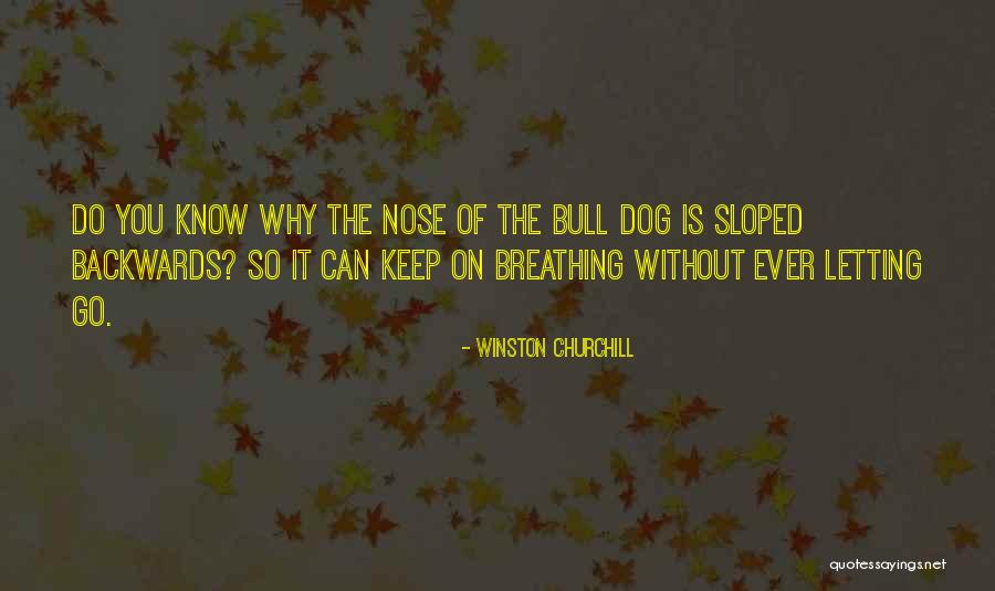 Dog Nose Quotes By Winston Churchill Dog Nose Quotes By Winston Churchill