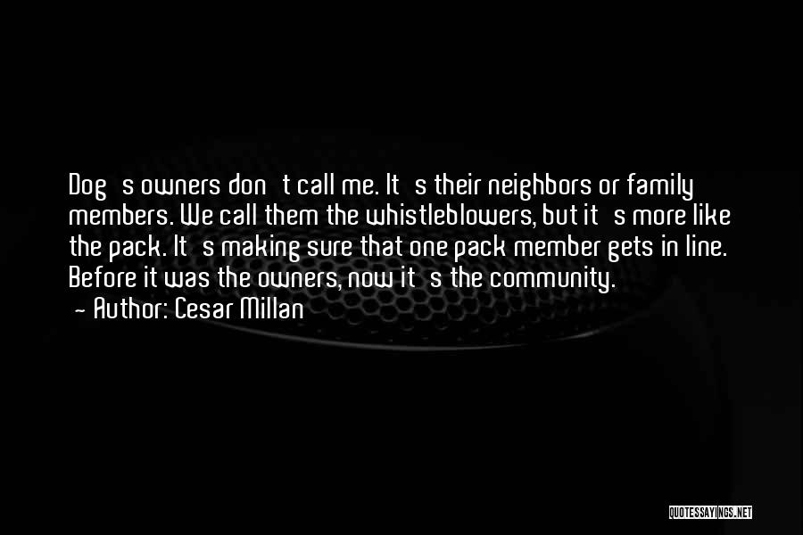 Dog Owners Quotes By Cesar Millan