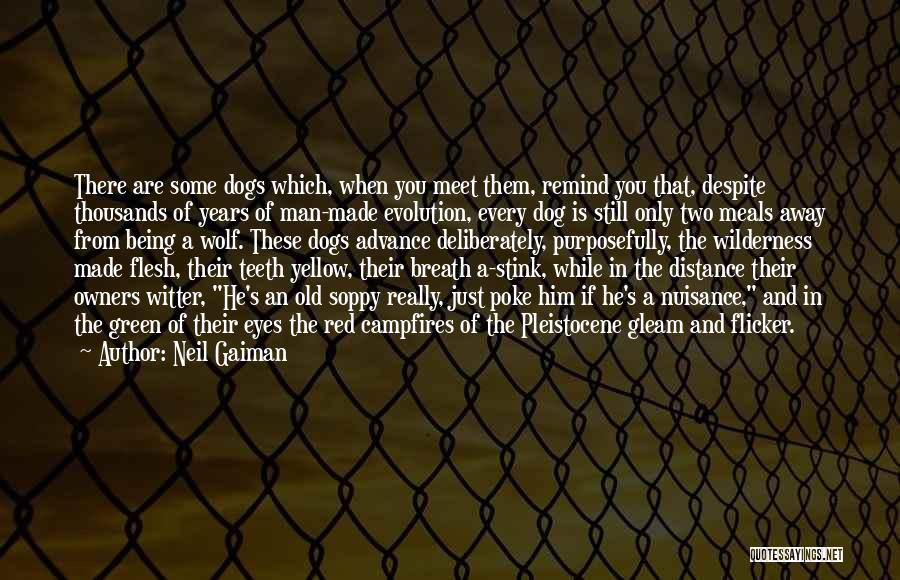 Dog Owners Quotes By Neil Gaiman