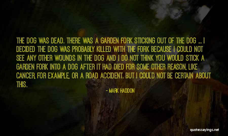 Dog Probably Quotes By Mark Haddon Dog Probably Quotes By Mark Haddon