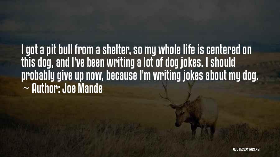 Dog Shelter Quotes By Joe Mande