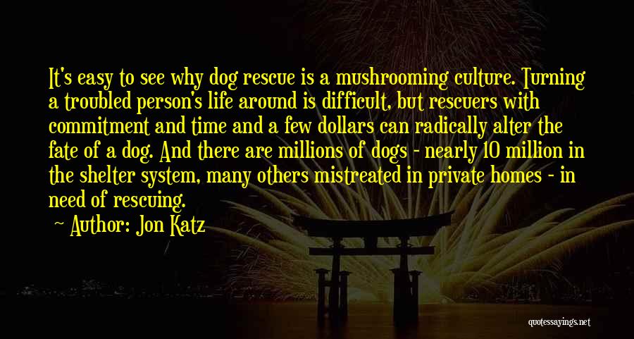 Dog Shelter Quotes By Jon Katz