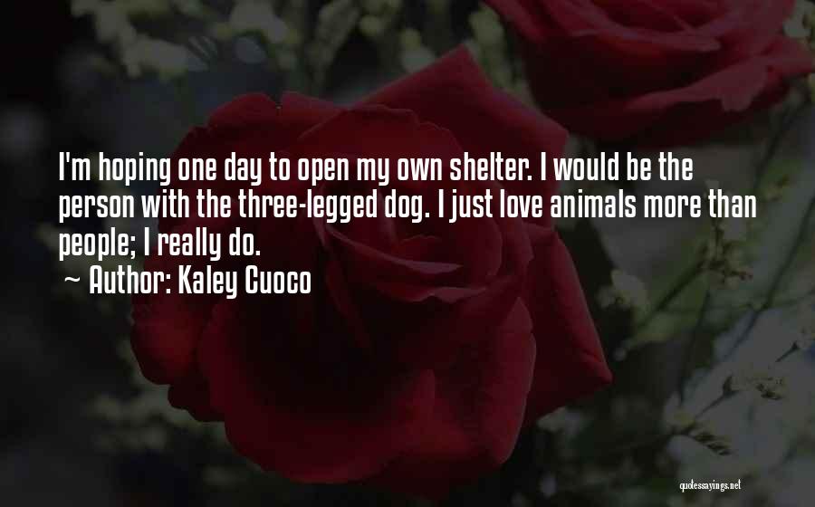 Dog Shelter Quotes By Kaley Cuoco