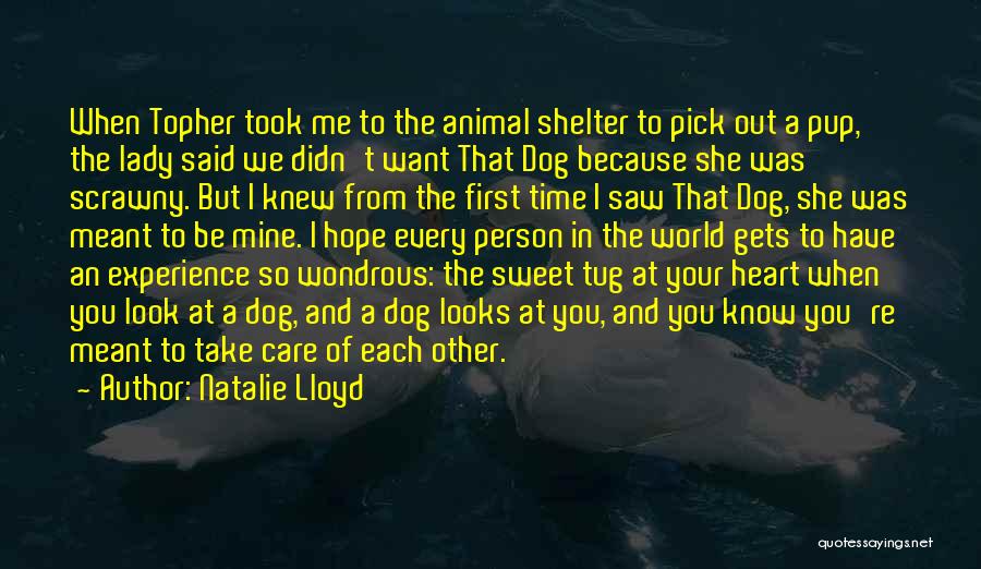 Dog Shelter Quotes By Natalie Lloyd