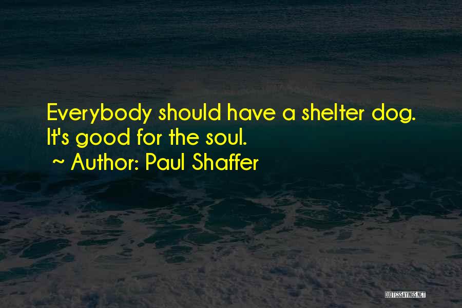 Dog Shelter Quotes By Paul Shaffer