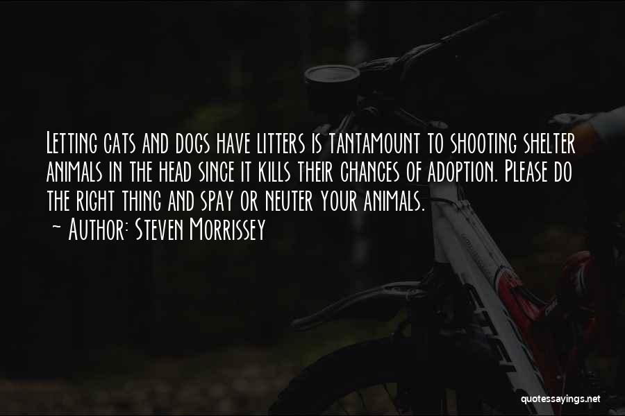 Dog Shelter Quotes By Steven Morrissey