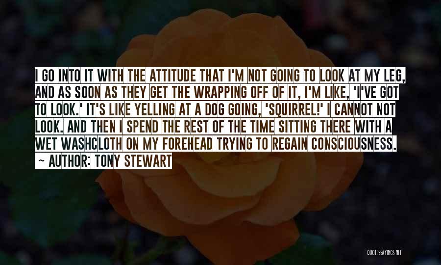 Dog Sitting Quotes By Tony Stewart