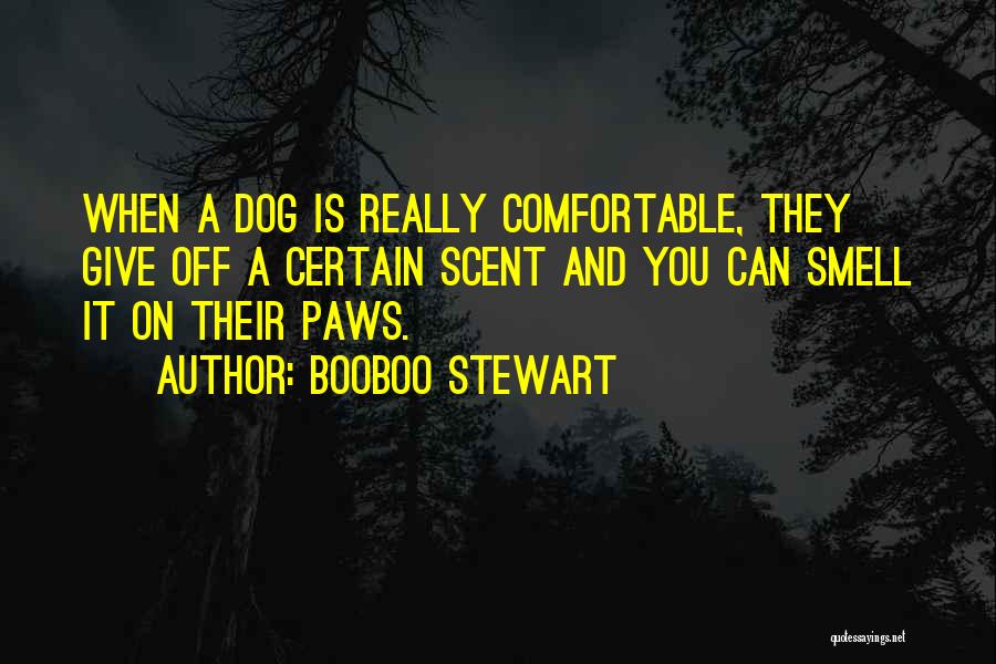 Dog Smell Quotes By Booboo Stewart