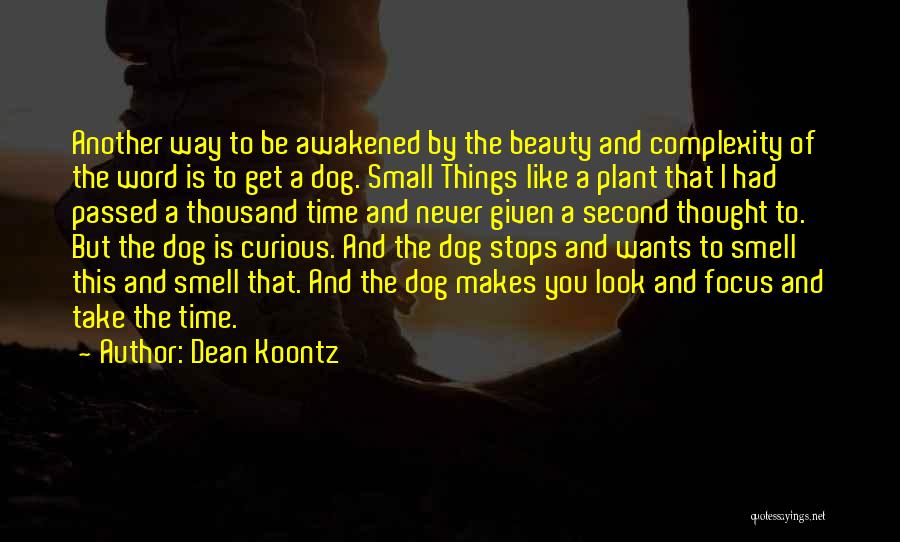 Dog Smell Quotes By Dean Koontz