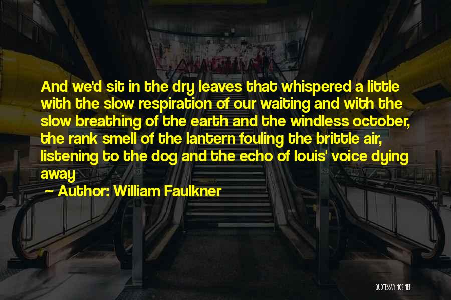 Dog Smell Quotes By William Faulkner