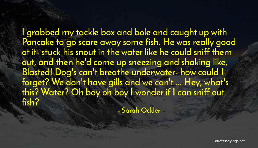Dog Sniff Quotes By Sarah Ockler Dog Sniff Quotes By Sarah Ockler