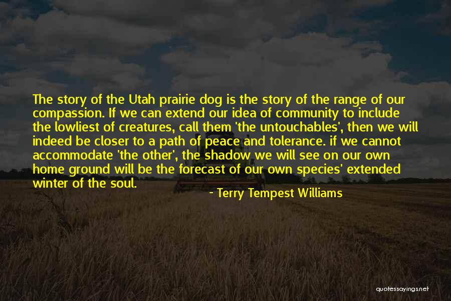 Dog Story Quotes By Terry Tempest Williams