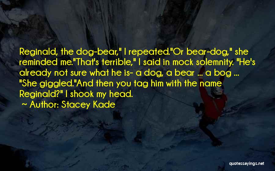 Dog Tag Quotes By Stacey Kade