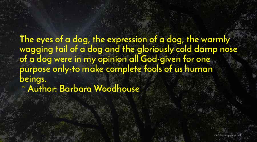 Dog Tail Quotes By Barbara Woodhouse