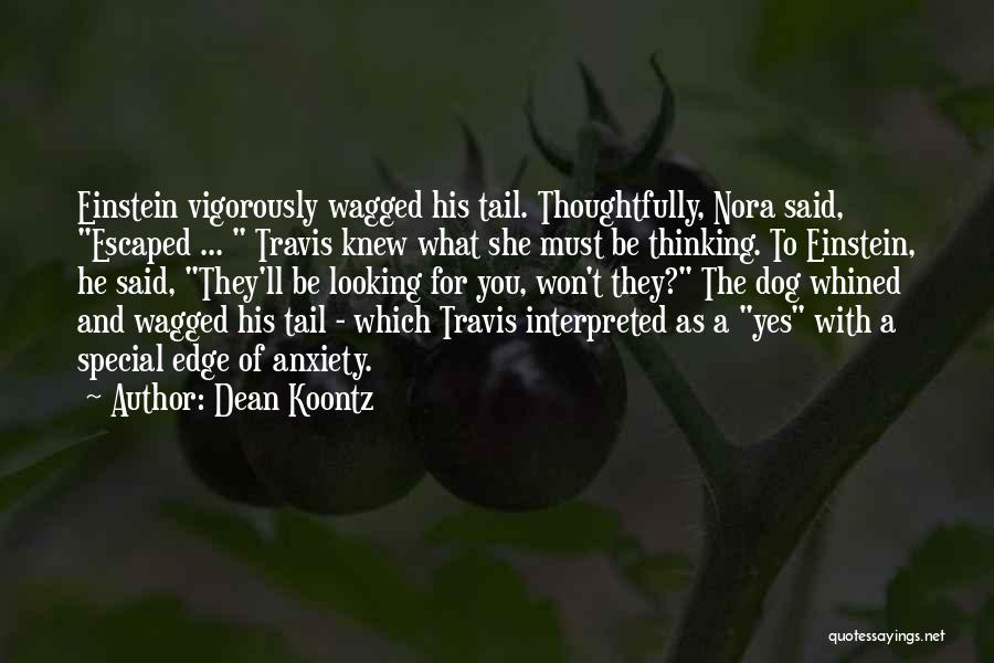 Dog Tail Quotes By Dean Koontz